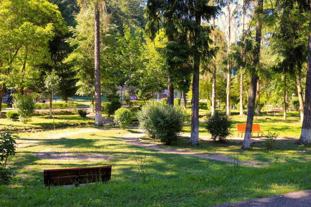 Apartament Iulia Geoagiu Băi Екстериор снимка