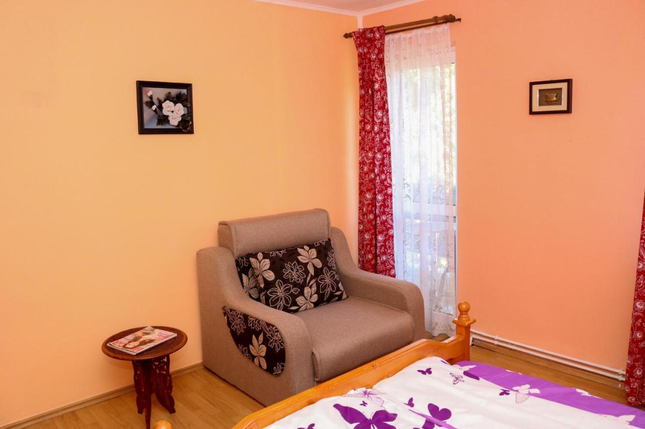 Apartament Iulia Geoagiu Băi Екстериор снимка