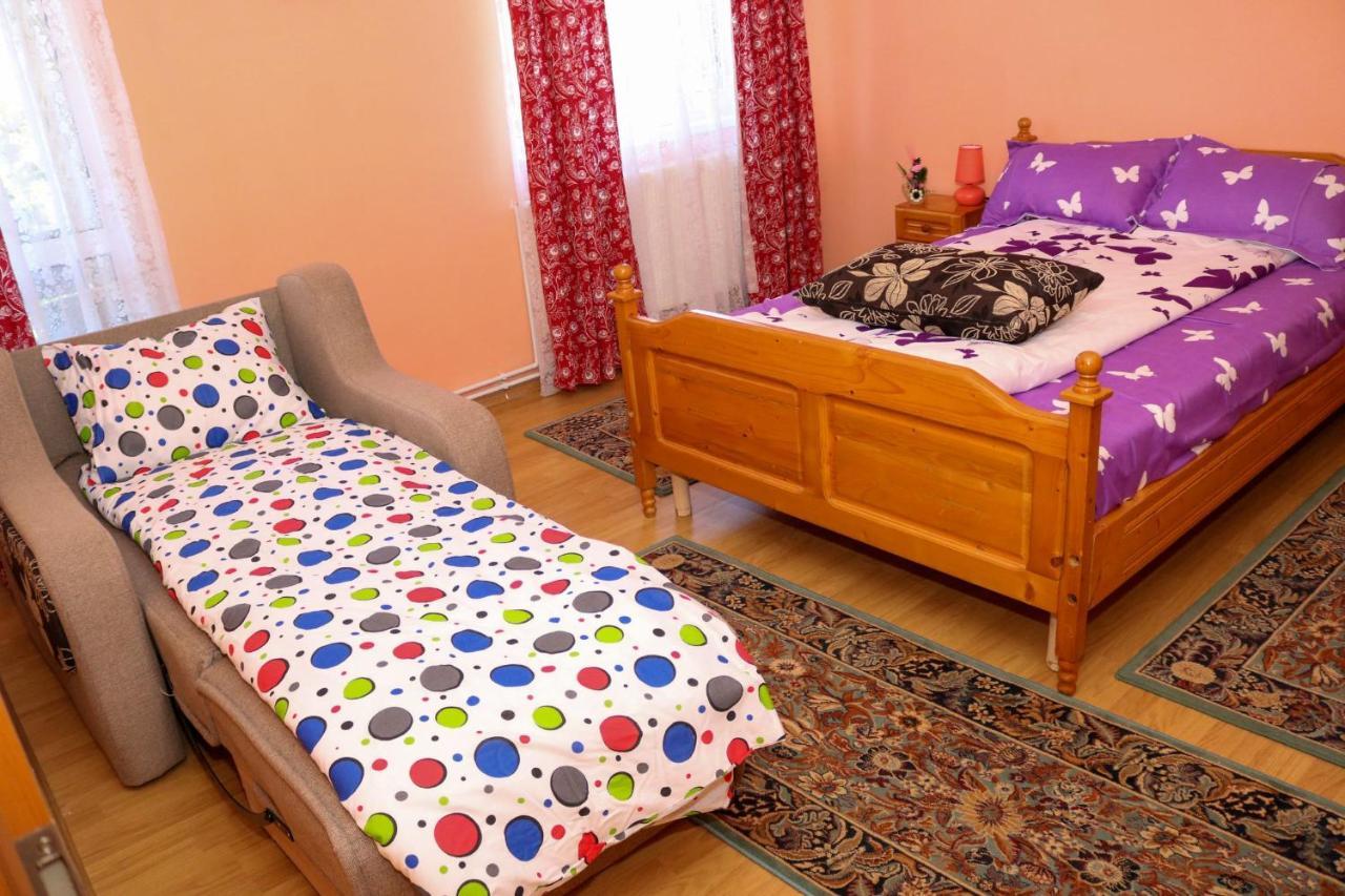 Apartament Iulia Geoagiu Băi Екстериор снимка