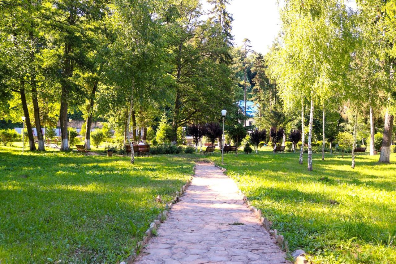 Apartament Iulia Geoagiu Băi Екстериор снимка