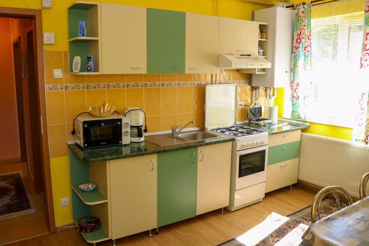 Apartament Iulia Geoagiu Băi Екстериор снимка